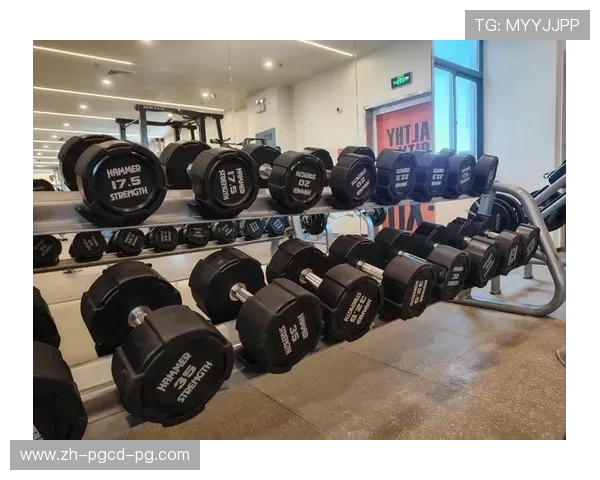 室内健身器材名称及图片对照大全 室内健身器材名称及图片对照大全