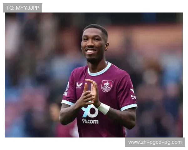 今年英超联赛有哪些新晋球队及其升班马表现预测